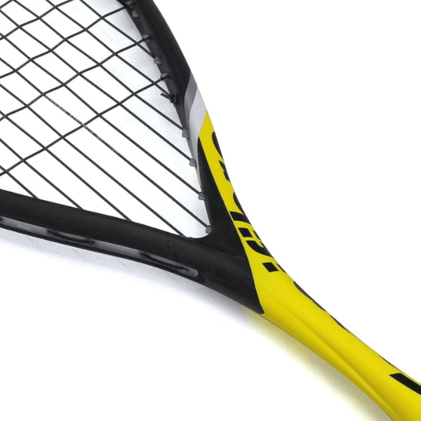 Tecnifibre Carboflex 125 Heritage 2 Squash Racket 2