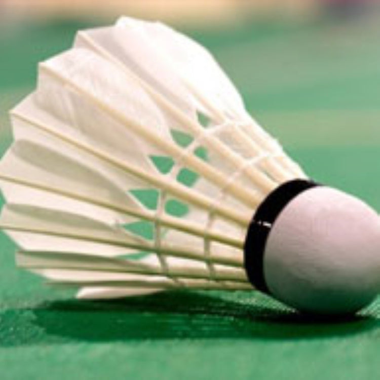 Badminton Shuttelcocks