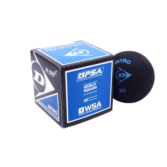 Dunlop Blue Dot squash ball designed for intermediate players, offering moderate bounce and consistent performance for practice and match play.